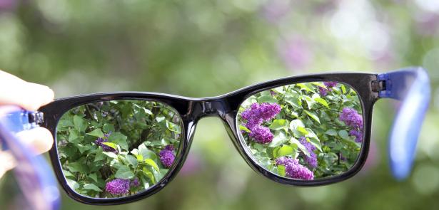 looking through glasses at lilacs