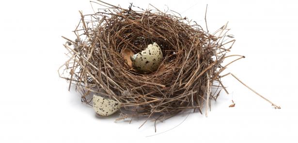 empty nest