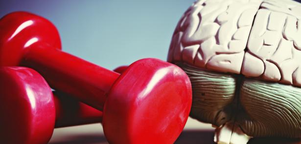 exercise your brain image
